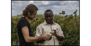 two men walking in a Vyneyard in Kenya