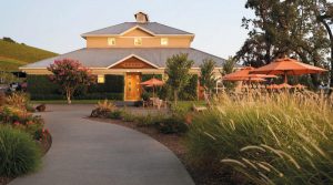 Kunde Family Winery