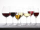 Les verres à vin : de la théorie à la pratique Quel verre Choisir AVEINE