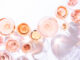 Rosé wine: how to choose it well and drink it well! Poetic rosé