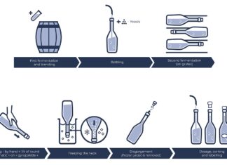 How do you make sparkling wine? The example of Cremant de Bourgogne. How to make Cremant