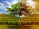 Climate change and wine: impacts and consequences Climate change and wine