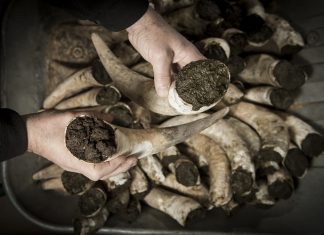 The biodynamic wine culture Biodynamic wine