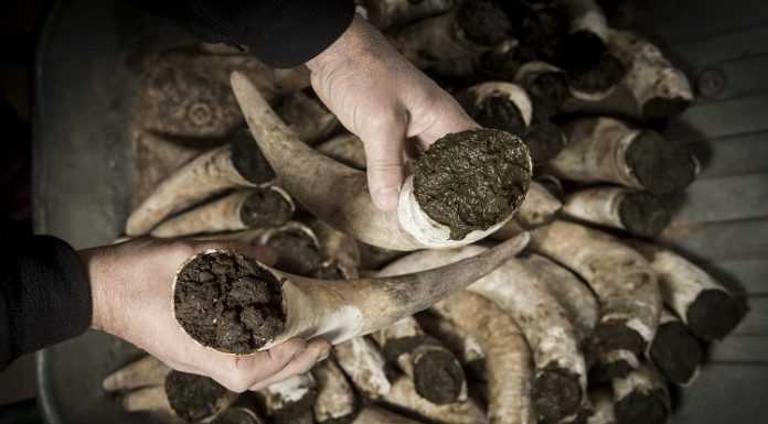 The biodynamic wine culture Biodynamic wine