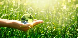 Vin bio : les domaines viticoles vont-ils tous se convertir au bio ? Conversion des vignobles au bio