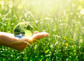 Vin bio : les domaines viticoles vont-ils tous se convertir au bio ? Conversion des vignobles au bio