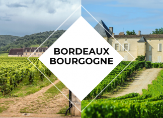 Bordeaux Bourgogne, quelles différences ?
