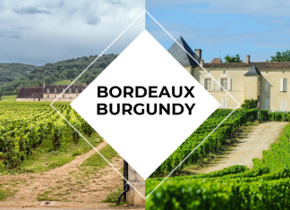 Bordeaux Burgundy, what differences?