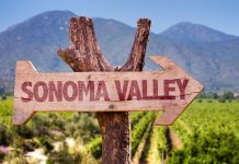La région viticole de la Sonoma Valley