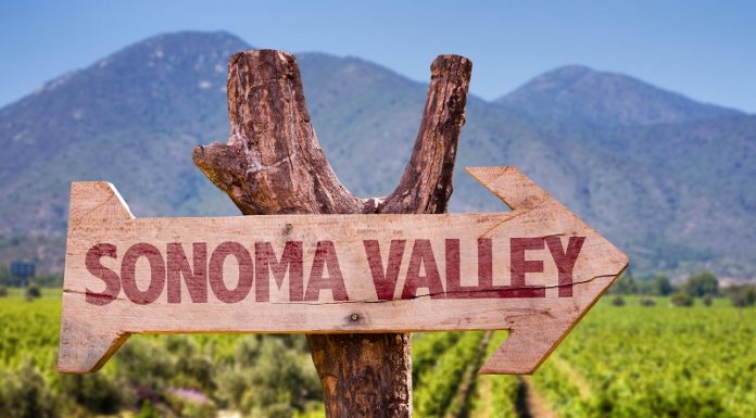 La région viticole de la Sonoma Valley