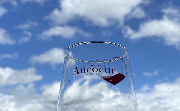 Arnaud Aucoeur du Domaine Aucoeur, dans « Parole de vignerons » Domaine-Aucoeur