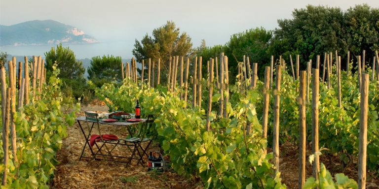 Wine vacation with a Rosé from Domaine de la Begude