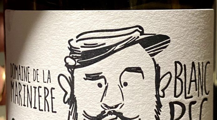 Boris Desbourdes du Domaine de la Marinière, dans « Parole de vignerons » Domaine de la marinière