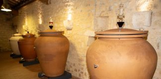Tout savoir sur le vin en amphore Vin en amphore