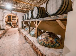 La Géorgie et l’Arménie, berceaux de la vigne et du vin Vin Géorgie Arménie