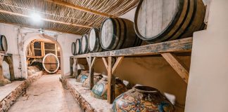 Georgia and Armenia, birthplaces of vine and wine Wine in Armenia and Georgia