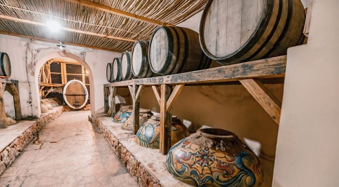 Georgia and Armenia, birthplaces of vine and wine Wine in Armenia and Georgia