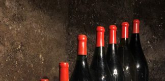 The different shapes and sizes of wine bottles Différents formats de bouteilles de vin