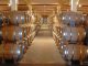 Oak barrels maturation : the impact on the wines Oak barrels