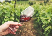 In search of English Red wines English Red wines
