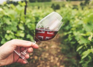 À la recherche des vins rouges anglais English Red wines