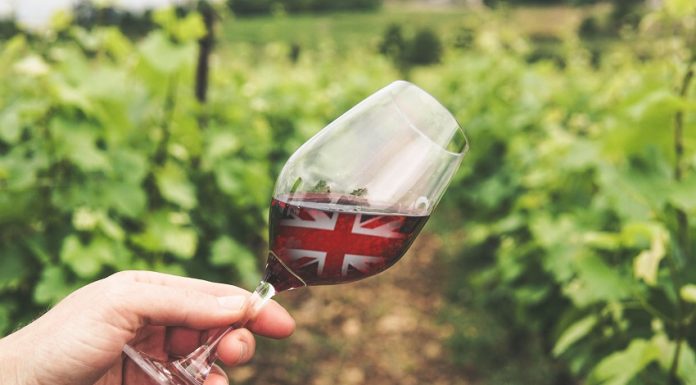 In search of English Red wines English Red wines