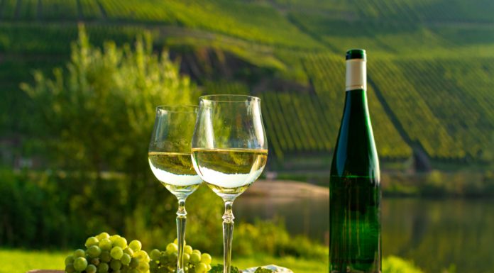 Vins allemands : Tout ce que vous devez savoir !