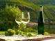 Vins allemands : Tout ce que vous devez savoir !