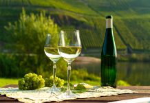 German Wines: All You Need to Know!