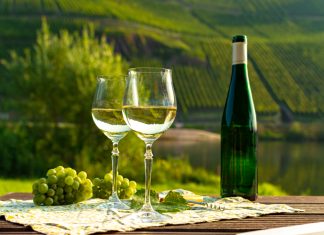 German Wines: All You Need to Know!