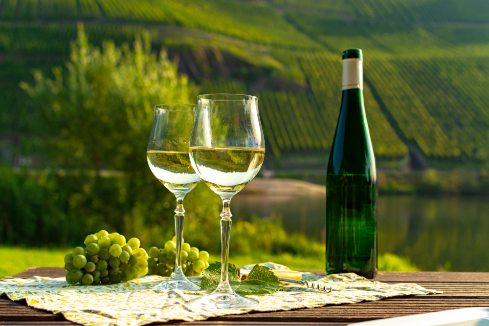 German Wines: All You Need to Know! - Aveine - Blog