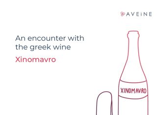 An encounter with Greek wine Xinomavro!