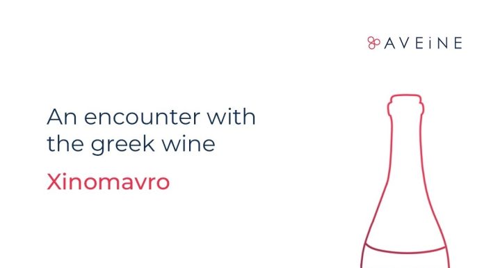 An encounter with Greek wine Xinomavro!