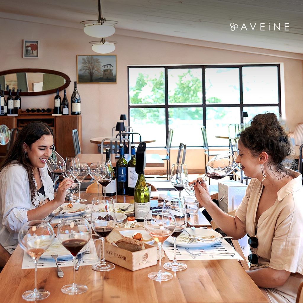 Wine Gini - Greek wine tasting: Xinomavro with the Aveine Aerator